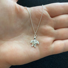 Load image into Gallery viewer, Turtle necklace
