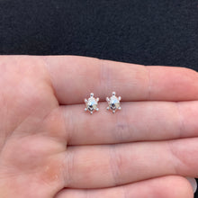 Load image into Gallery viewer, Turtle studs
