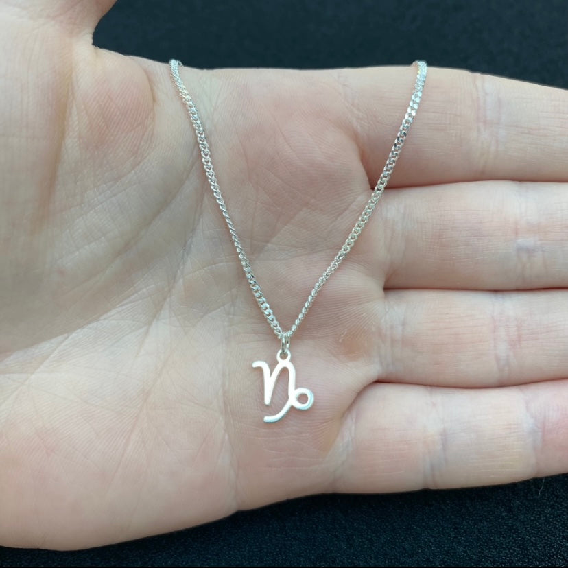 Capricorn necklace