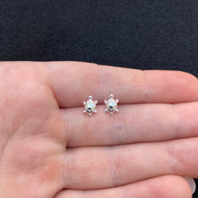 Load image into Gallery viewer, Turtle studs
