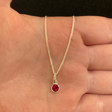 Load image into Gallery viewer, January birthstone necklace
