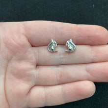 Load image into Gallery viewer, Squirrel studs
